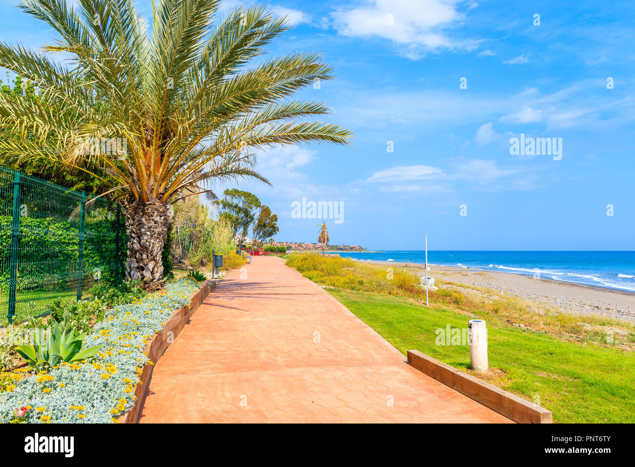 Ruta Costera con palmeras junto a la playa, cerca de la ciudad de Estepona en la Costa del Sol, España Foto de stock