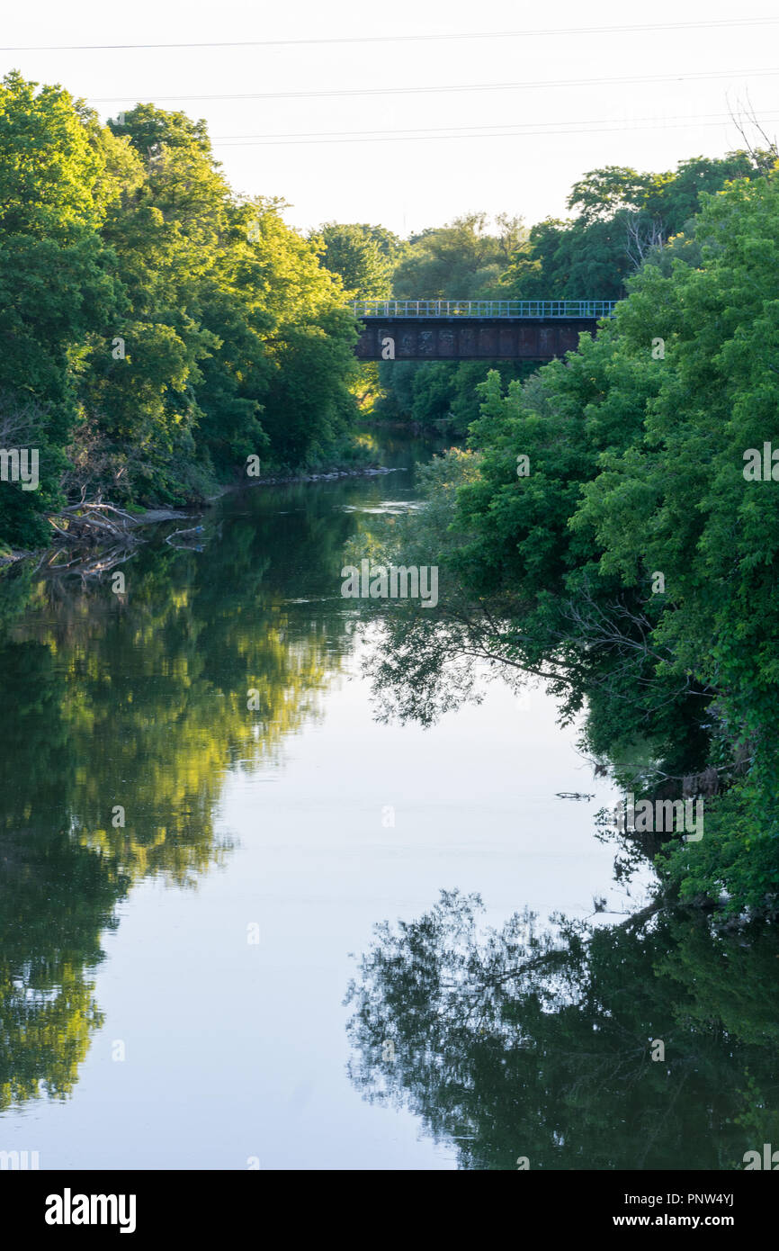 El reflejo de los árboles en las tranquilas aguas de un río en London, Ontario en Canadá Foto de stock