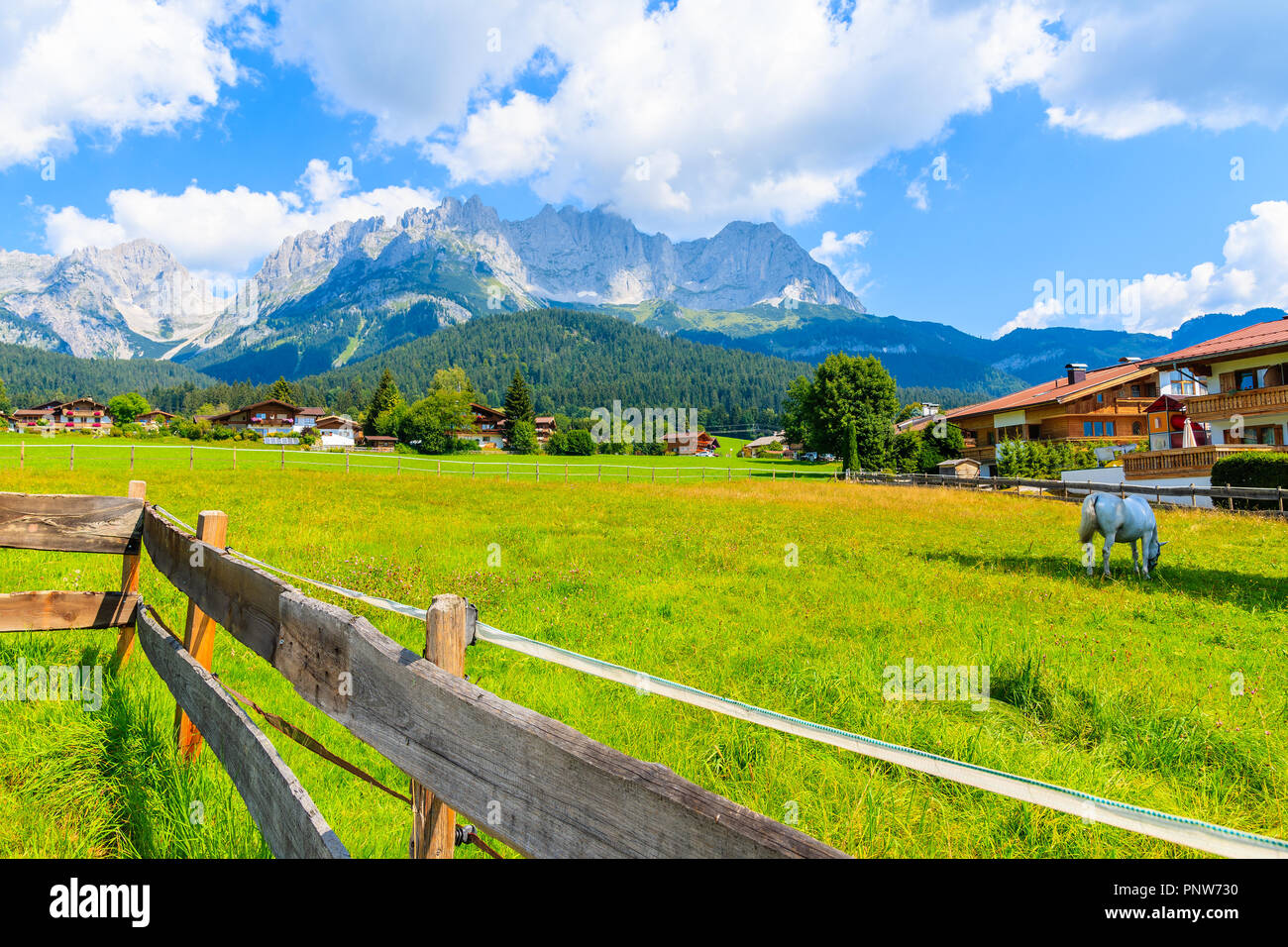 Valla en pradera verde con caballos que pastan en ir am Wilden Kaiser aldea de montaña en un día soleado de verano, Tirol, Austria Foto de stock