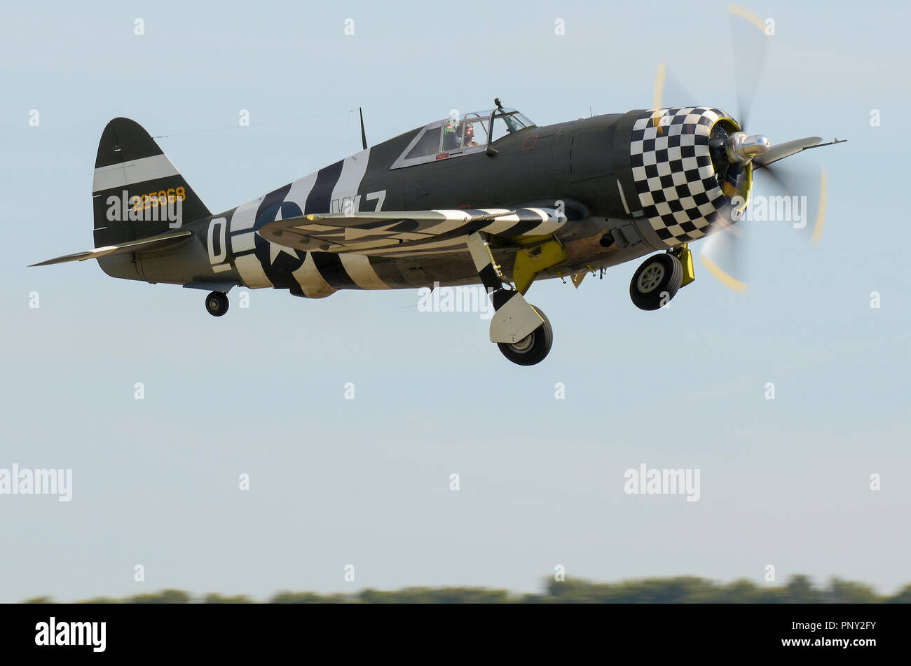 República P-47 Thunderbolt Segunda Guerra Mundial avión de combate en verde oliva con rayas de invasión y la trompa de tablero de ajedrez. Flying Foto de stock