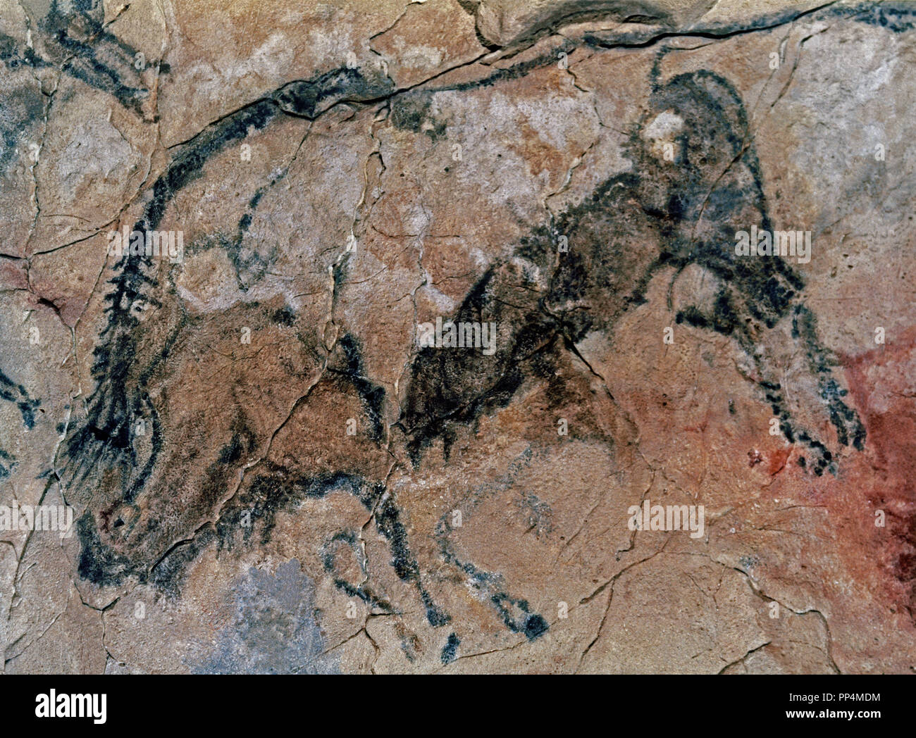 Reproducción de la cueva de Altamira y arte rupestre. Ubicación MUSEO