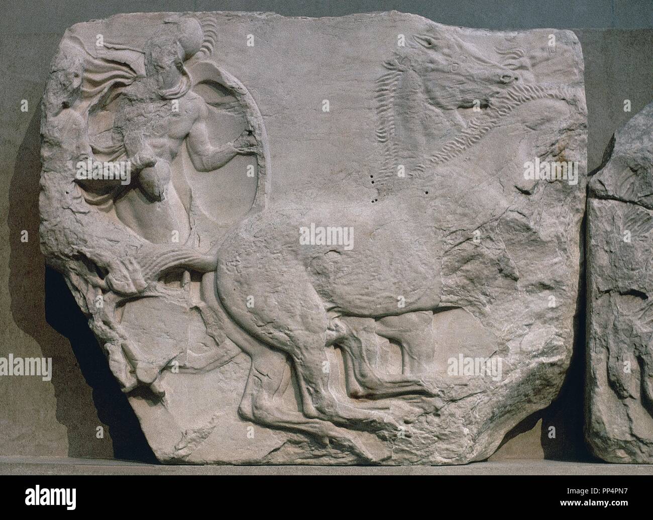 FRISO DEL PARTENON - caballos - siglo V AC. Autor: Fidias. Ubicación: British Museum. Londres. Inglaterra. Foto de stock