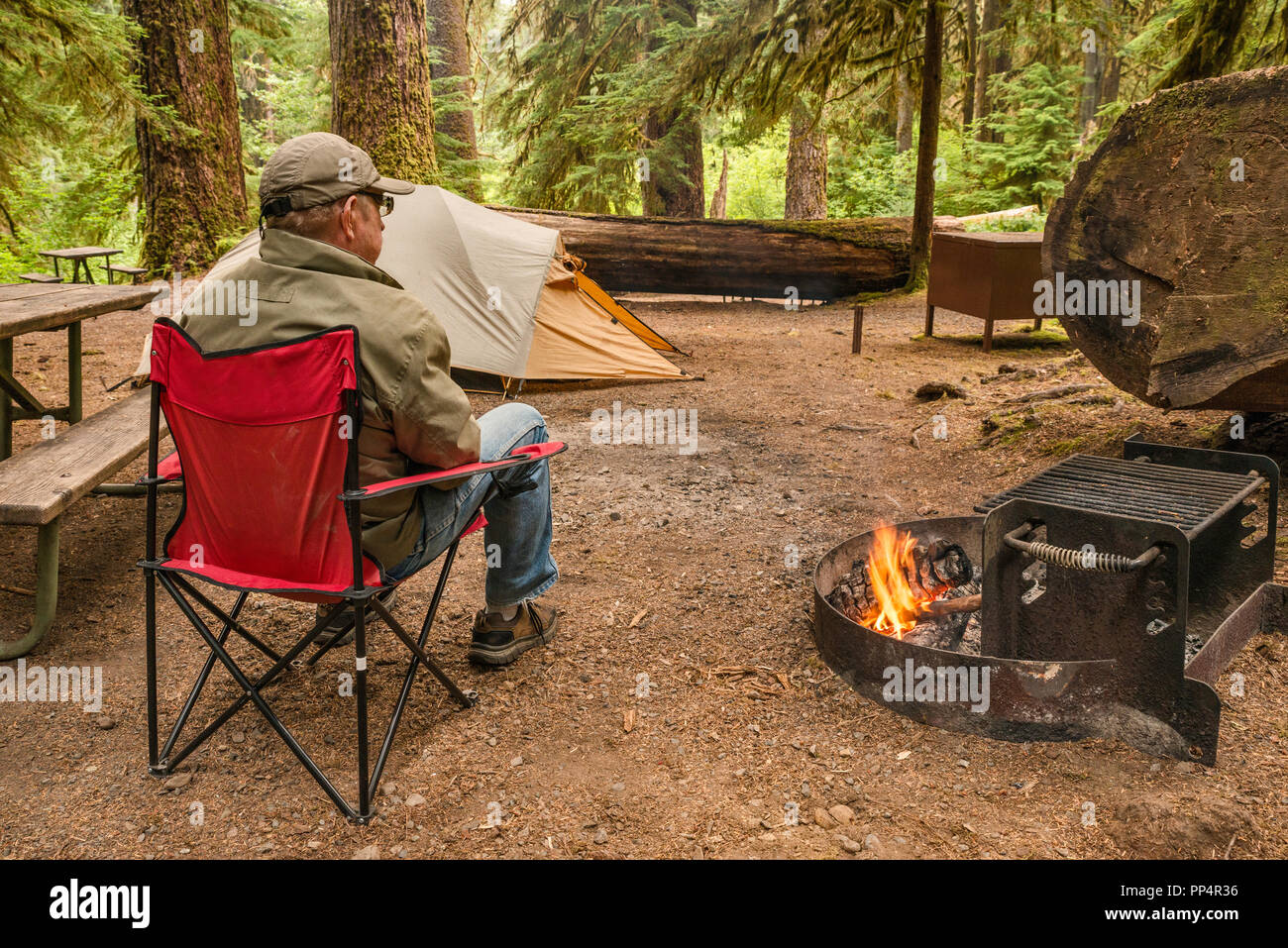 Adulto mayor relax en fogata en la selva, Sol Duc Camping, el Parque Nacional Olímpico, estado de Washington, EE.UU. Foto de stock