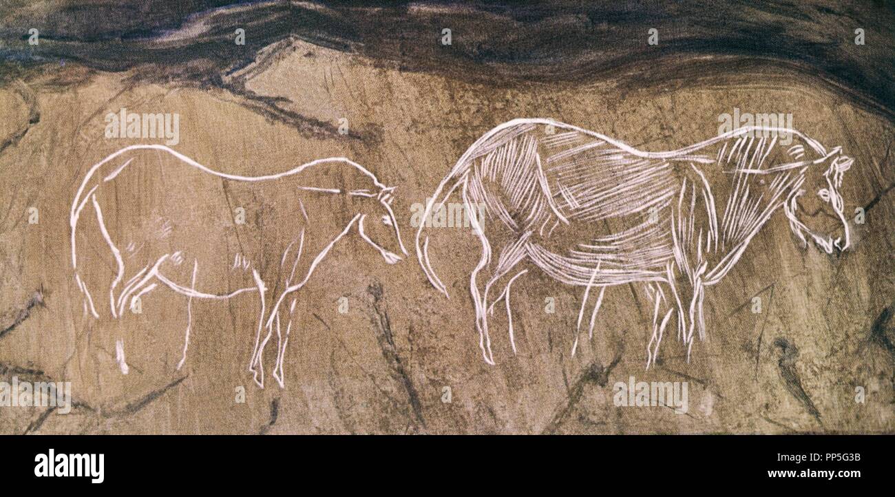 Pinturas rupestres caballos Magdaleniense. Ubicación CUEVA DEL