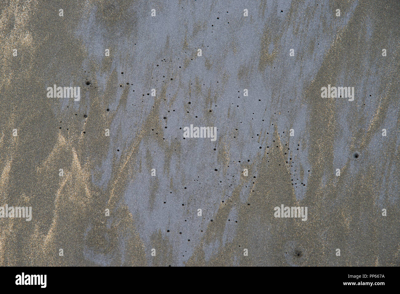 Primer plano de la textura de la arena negra en la playa de Piha en Auckland, Nueva Zelanda Foto de stock