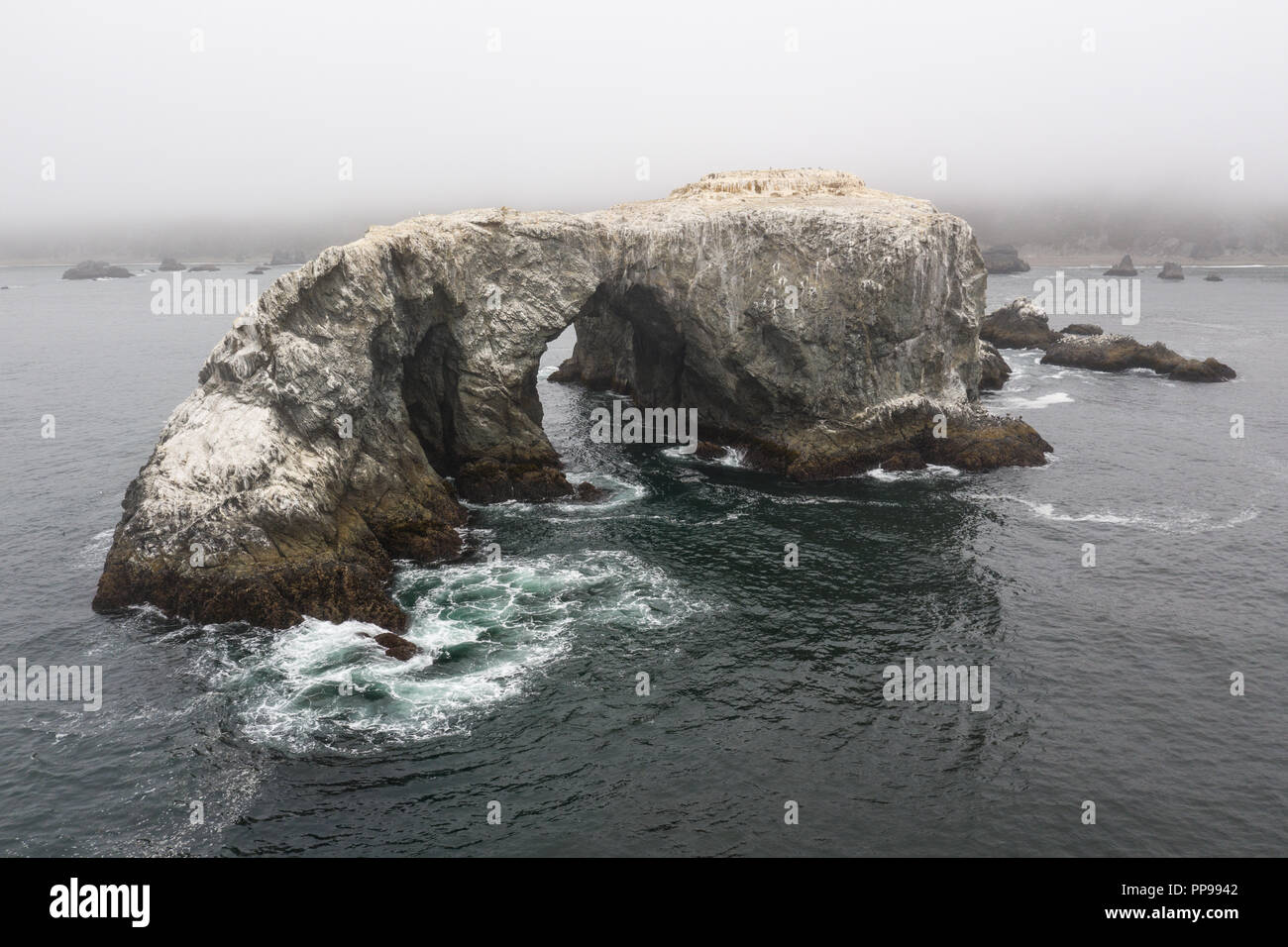 Una enorme pila de mar, formada por las potencias erosiva del agua y el viento, descansa cerca del salvaje, cubierto de niebla costa del norte de California. Foto de stock