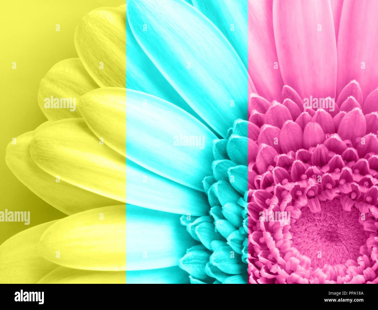 Fondo de pantalla de pastel fotografías e imágenes de alta resolución -  Alamy