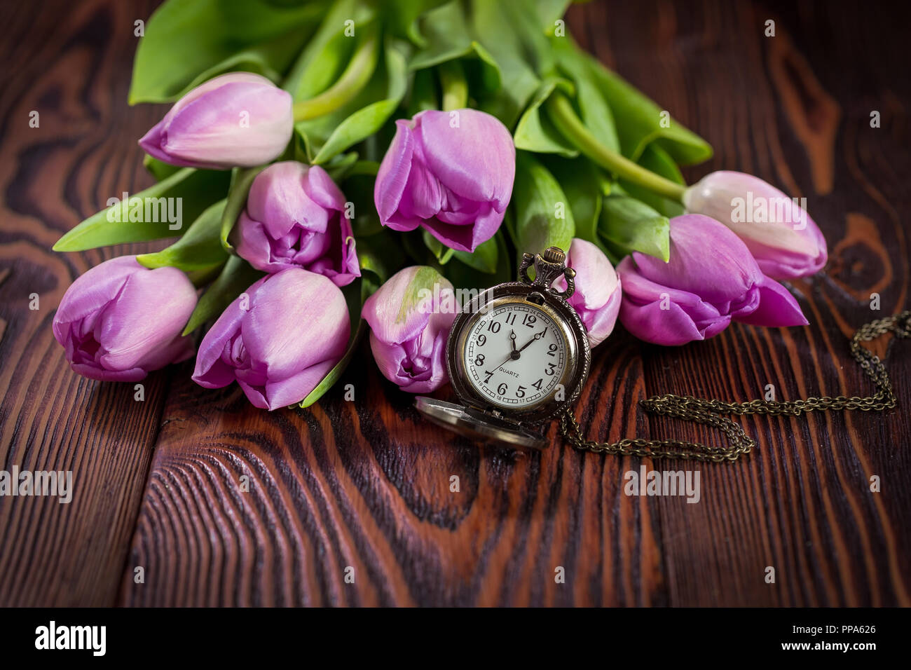 Tulipanes púrpura sobre un fondo de madera oscura y relojes de bolsillo Foto de stock