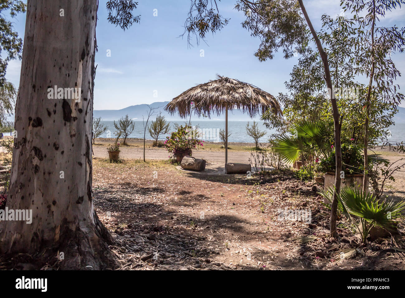 Ajijic lake chapala jalisco mexico fotografías e imágenes de alta