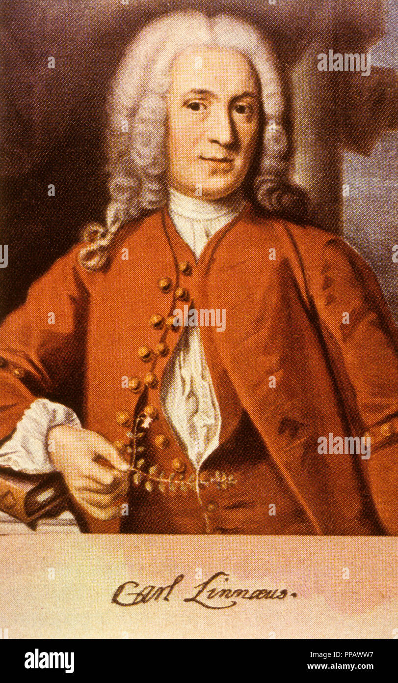 Botánico sueco Carl Linnaeus Foto de stock