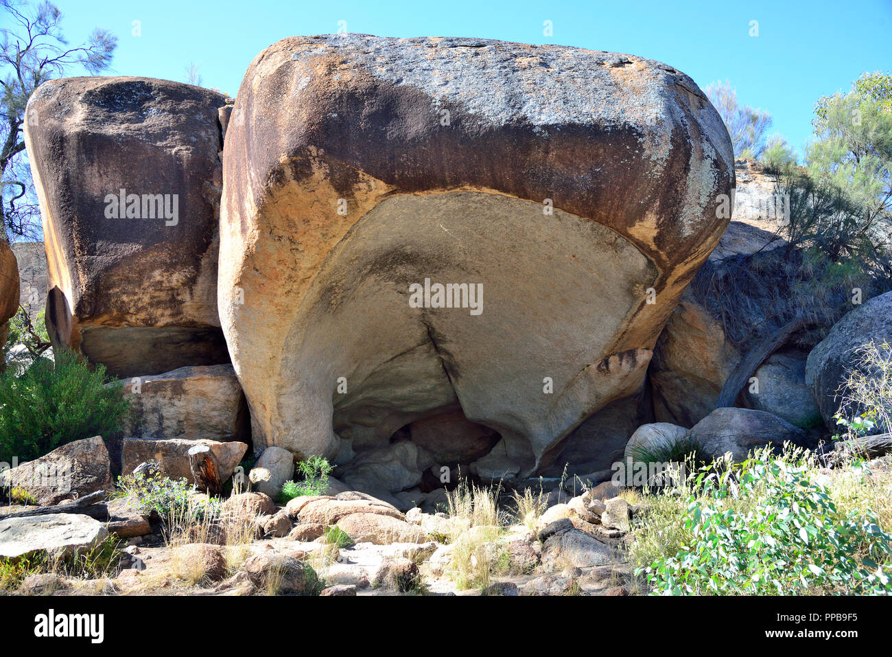 Hippo's Yawn una singular roca granítica cercana a Waverock, Hyden, South Australia Occidental Foto de stock