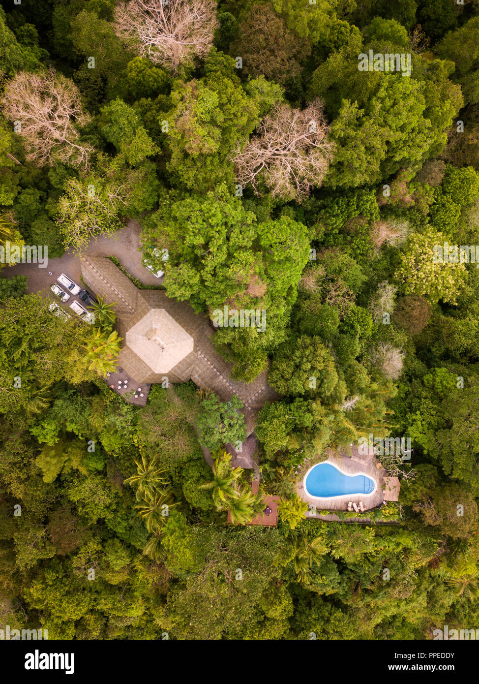 Guesthouse, Parque Nacional Tortuguero, Costa Rica Foto de stock