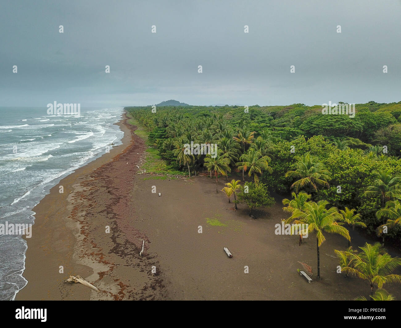 Playa, Parque Nacional Tortuguero, Costa Rica Foto de stock