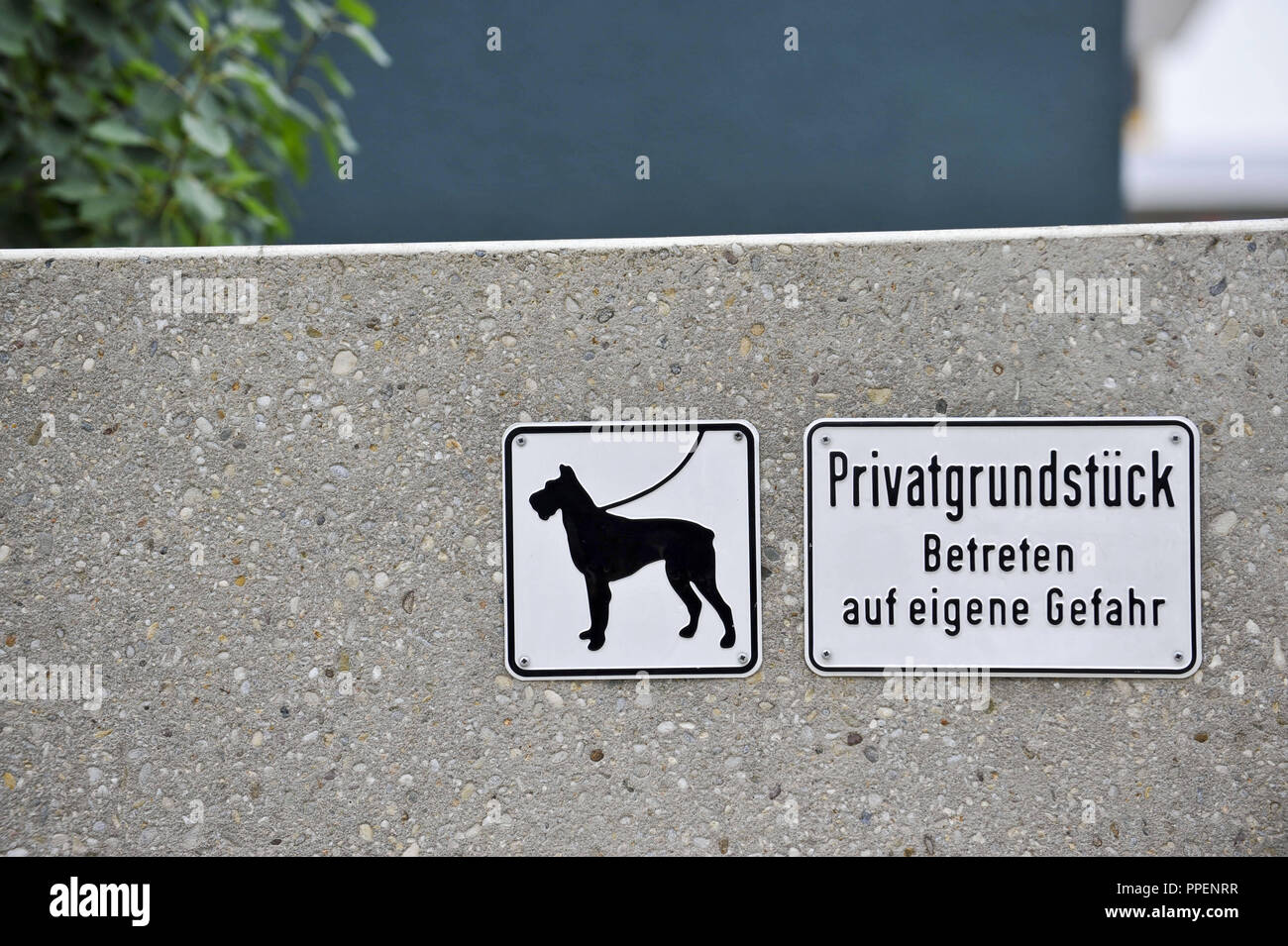 Letreros que decían "Correa para perros' y 'propiedad privada - Entrar a tu  propio riesgo' en la pared de una propiedad en Munich Fotografía de stock -  Alamy