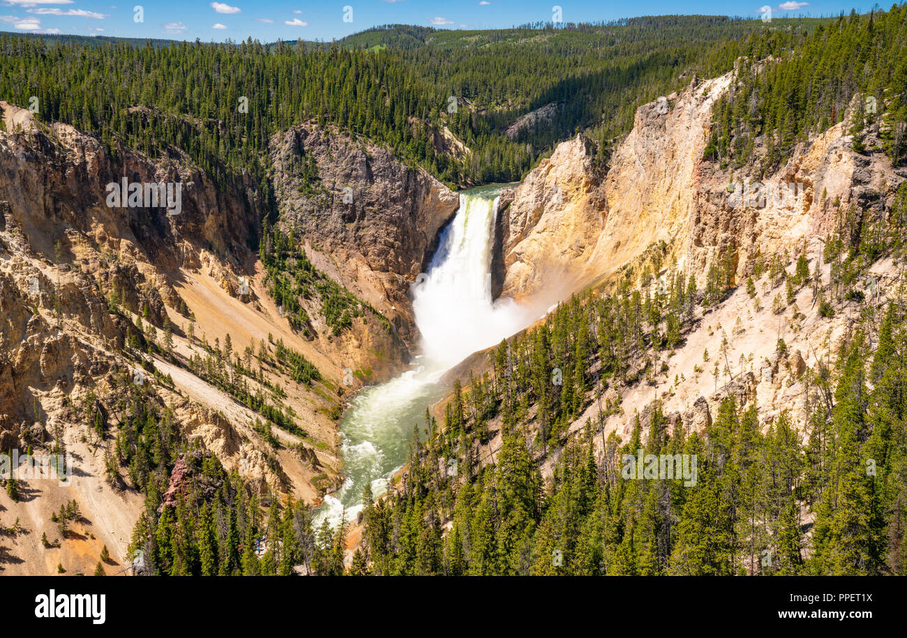 Lower Falls de Yellowstone Canyon en el Parque Nacional Yellowstone, Wyoming Foto de stock