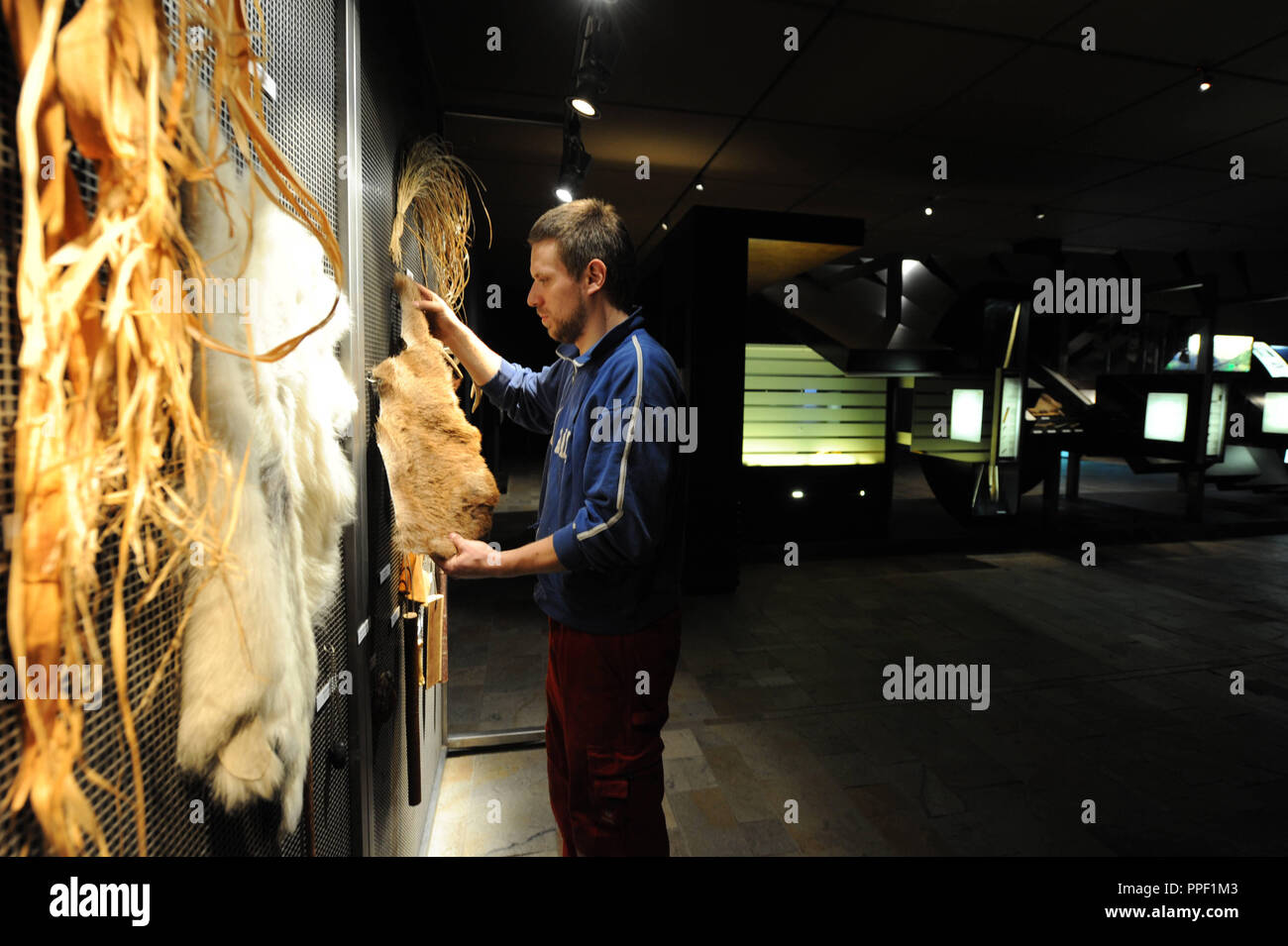 Los preparativos finales para la exposición 'Ötzi 2.0 - Noticias sobre la momia de hielo' en la colección arqueológica del Estado de Baviera en Munich, Alemania. Foto de stock