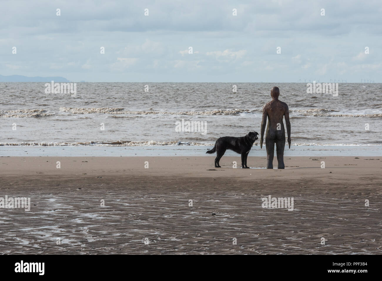 Escultura de Antony Gormley en Crosby Beach cerca de Liverpool, Reino Unido Foto de stock