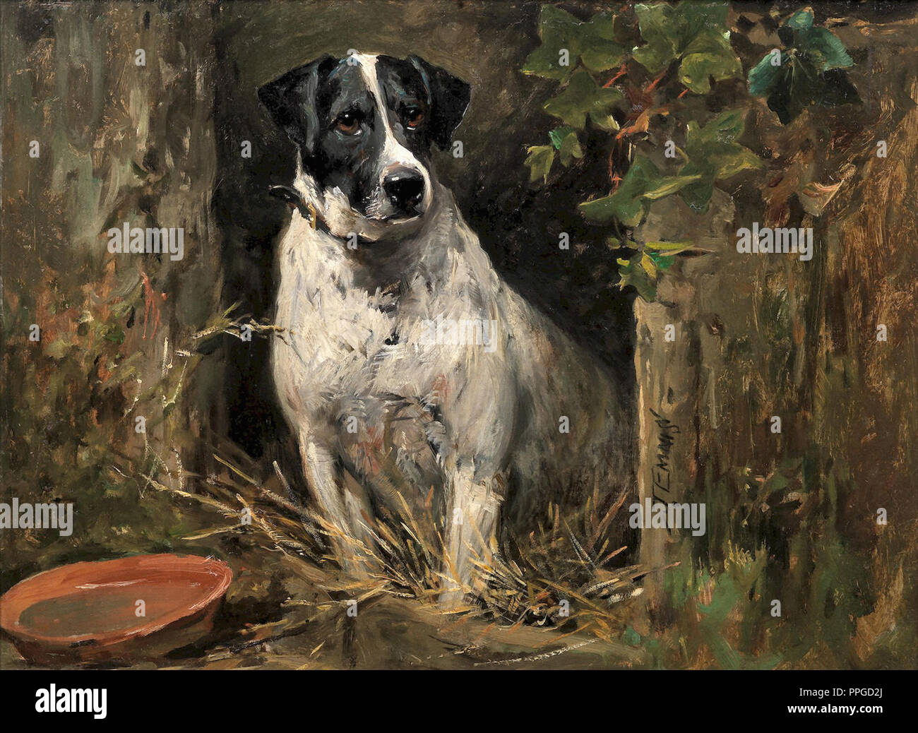John Emms - una perra por su perrera Foto de stock