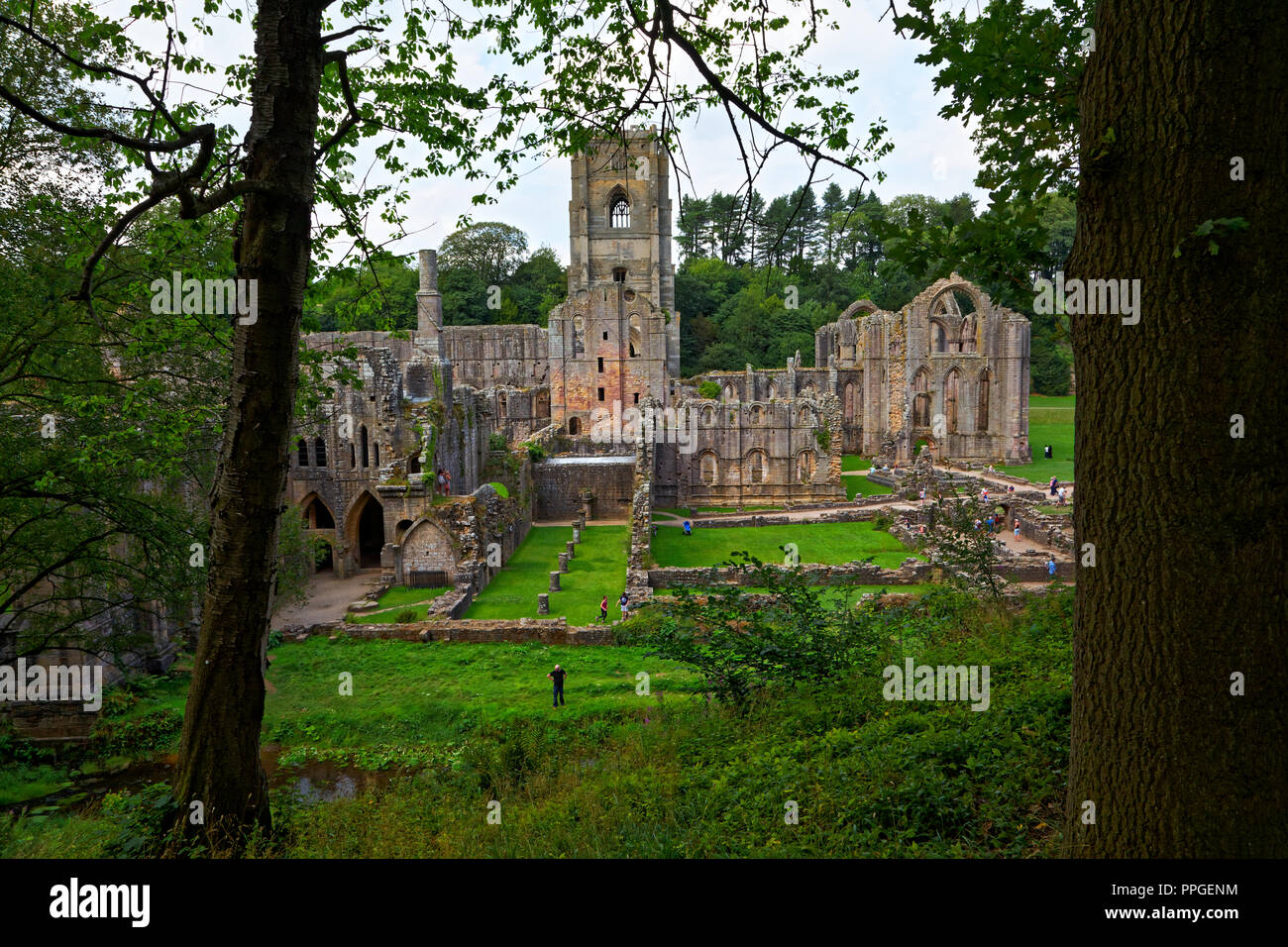 Fountains Abbey, North Yorkshire, un sitio del Patrimonio Mundial de la UNESCO - bien preservadas ruinas de un Monasterio Cisterciense Foto de stock