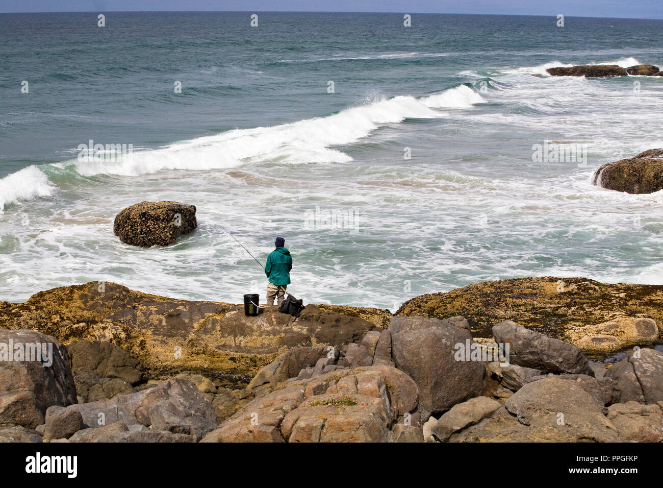 Un pescador de Asia arroja para arena perca fuera del percebe rocas cubiertas a lo largo de la costa del Pacífico, cerca de la pequeña ciudad de Yachats, Oregón Foto de stock