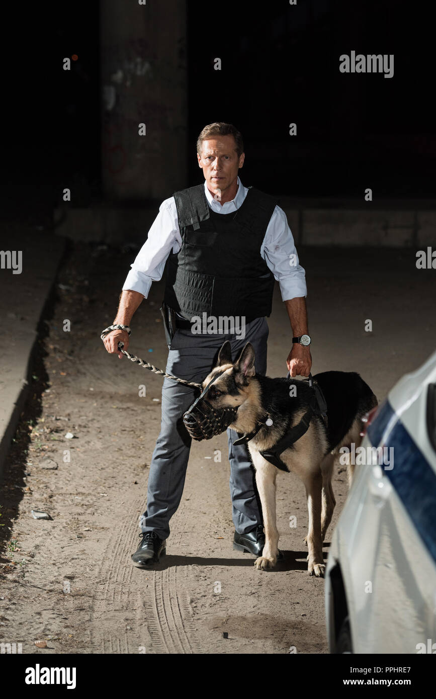 Policía madura en chaleco antibalas la celebración de perro pastor alemán  en correa cerca del coche en las calles de la ciudad Fotografía de stock -  Alamy