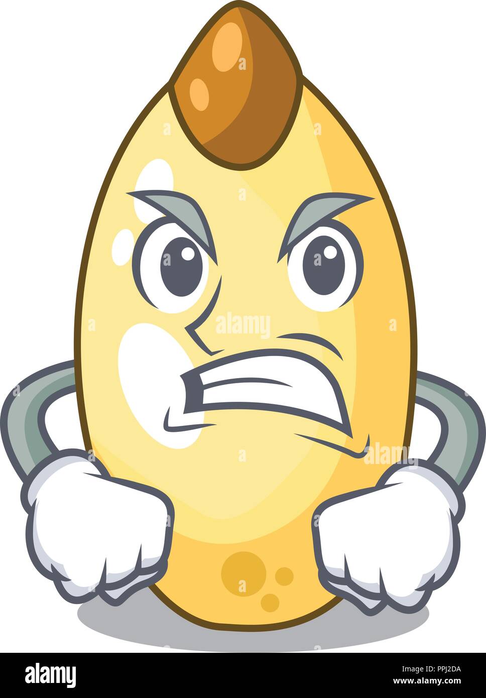 Las Tuercas De Pino Cedro Enojado En Un Dibujo Animado Imagen Vector De Stock Alamy