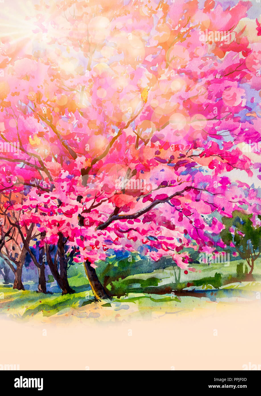 Pintura acuarela paisaje rosa original color rojo de Wild Cherry Flower del  Himalaya y emoción la luz solar, desenfoque bokeh de fondo del cielo.  Pintado a mano ab Fotografía de stock -