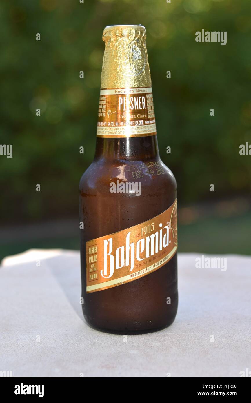 Bohemia beer fotografías e imágenes de alta resolución - Alamy
