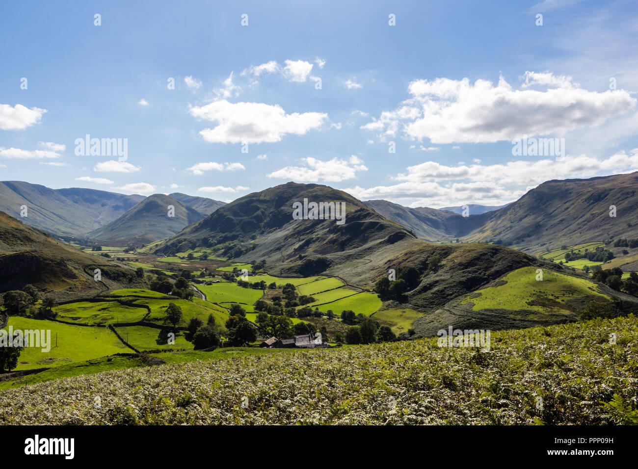 Vista desde Hallin cayó a Martindale y valles con Boardale Beda cayó en el centro. Lake District, Inglaterra. Foto de stock