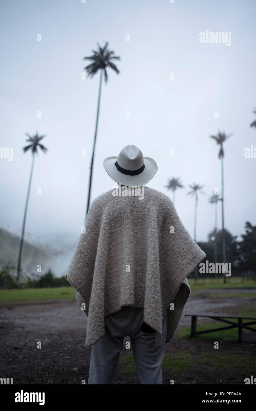 El hombre colombiano desde detrás una ruana tradicional con sombrero mirando la icónica palmas de cera del Quindío, Valle de Cocora en 2018 Fotografía de stock - Alamy