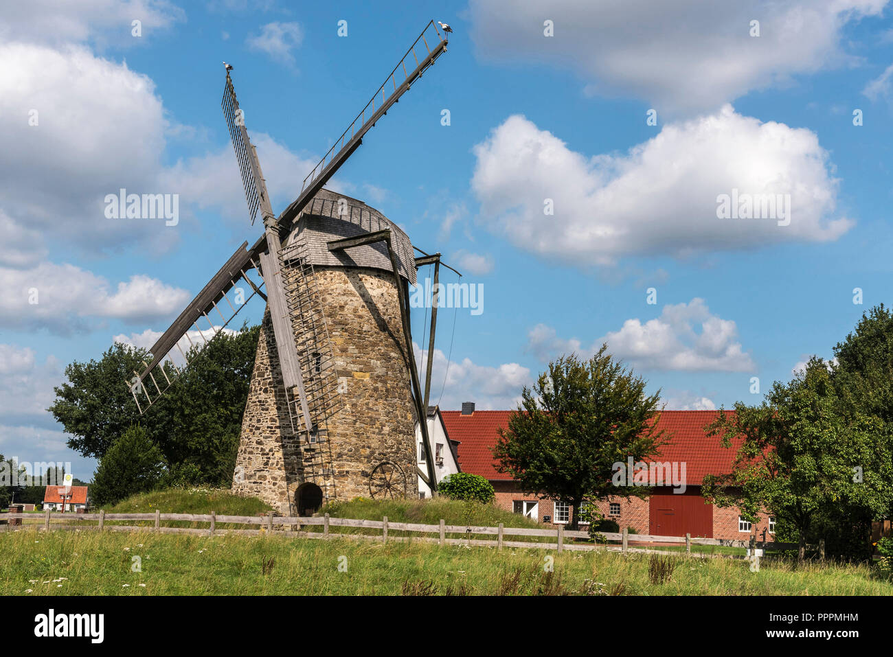 Molino de viento, Todtenhausen, Minden-Luebbecke, East Westphalia-Lippe, Renania del Norte-Westfalia, Alemania Foto de stock