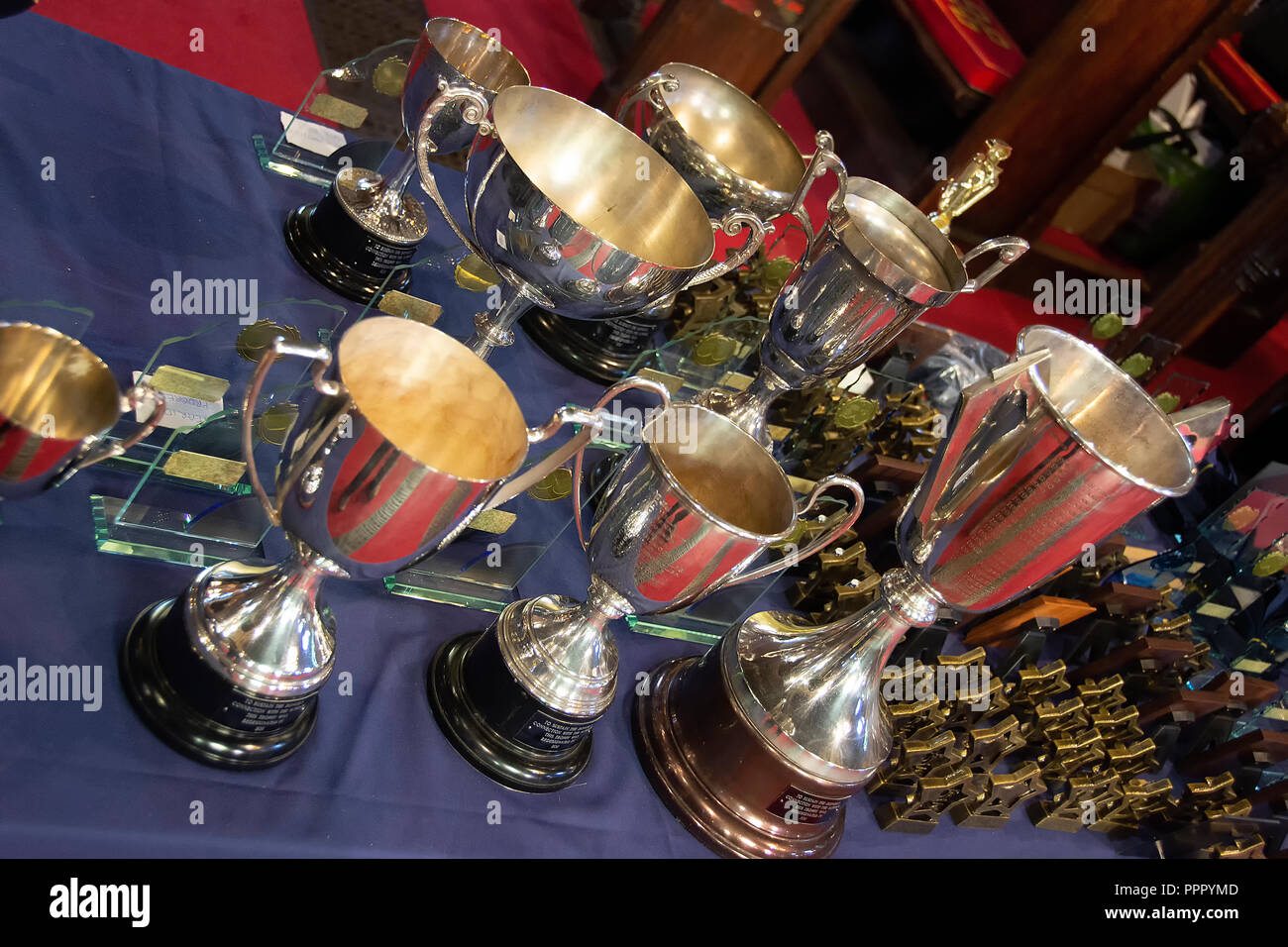 Trofeos de plata en una tabla Foto de stock