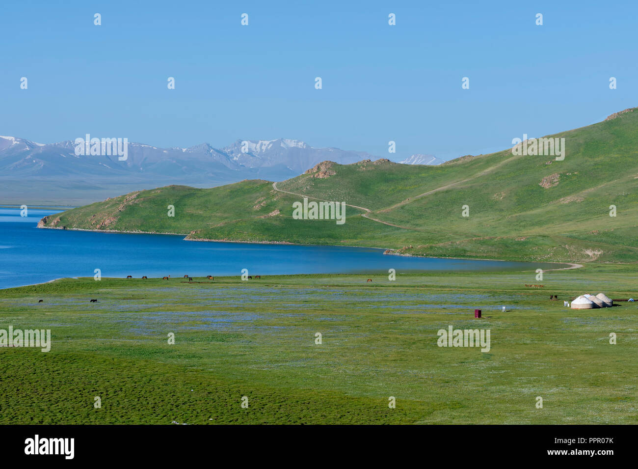 Song Kol Lago, PROVINCIA DE NARYN, Kirguistán, Asia Central Foto de stock