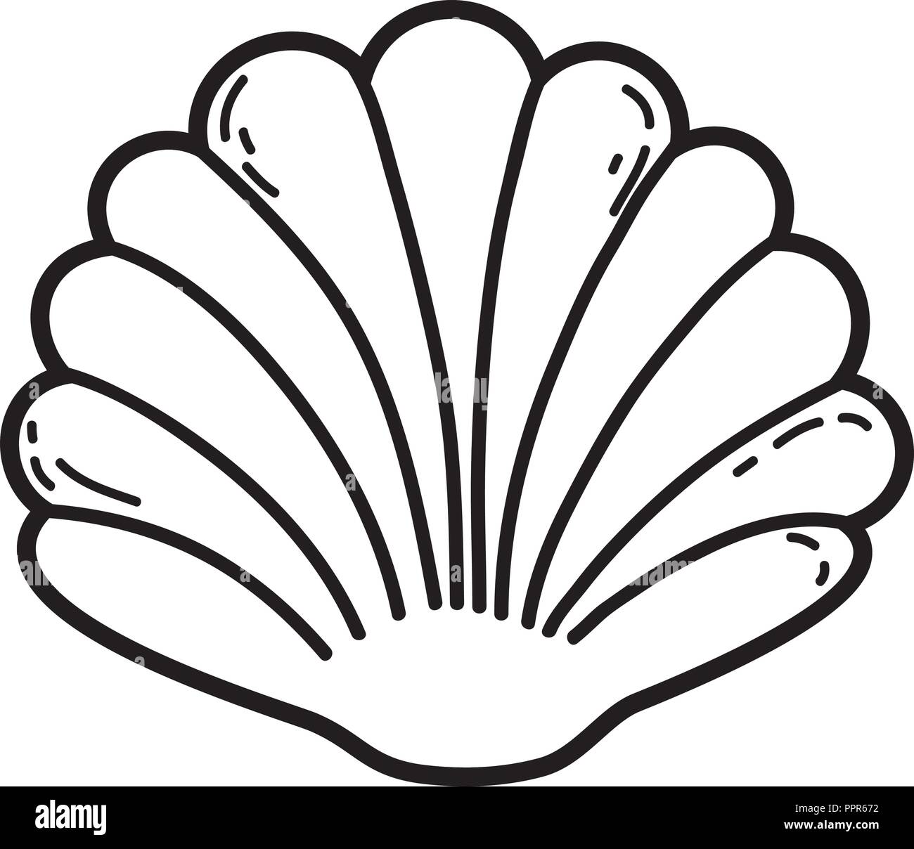 Shell aislado de dibujos animados Imagen Vector de stock - Alamy