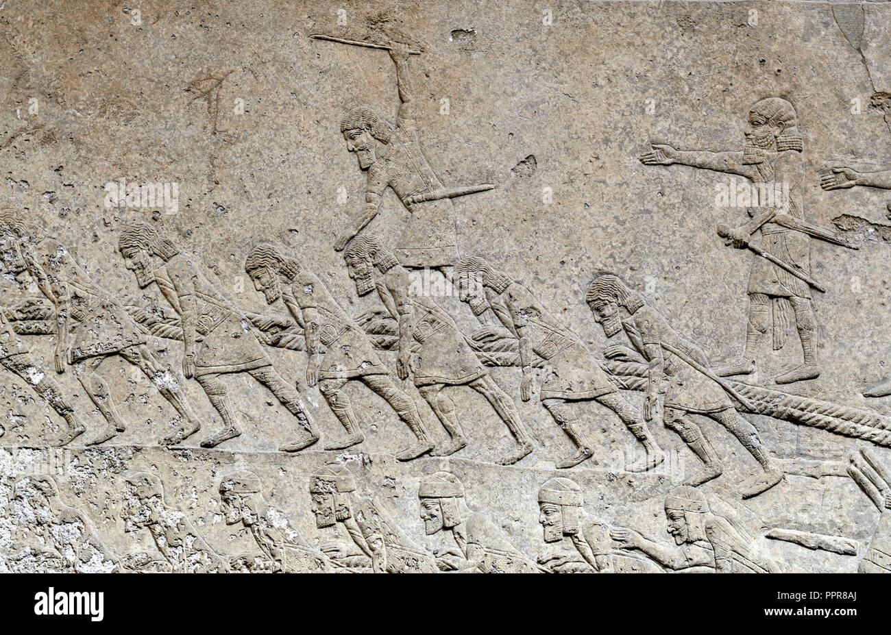 Panel de piedra asiria de Nínive (: 700-692BC) mostrando esclavizaron a los prisioneros de guerra. Museo Británico, Bloomsbury, Londres, Inglaterra, Reino Unido. Foto de stock