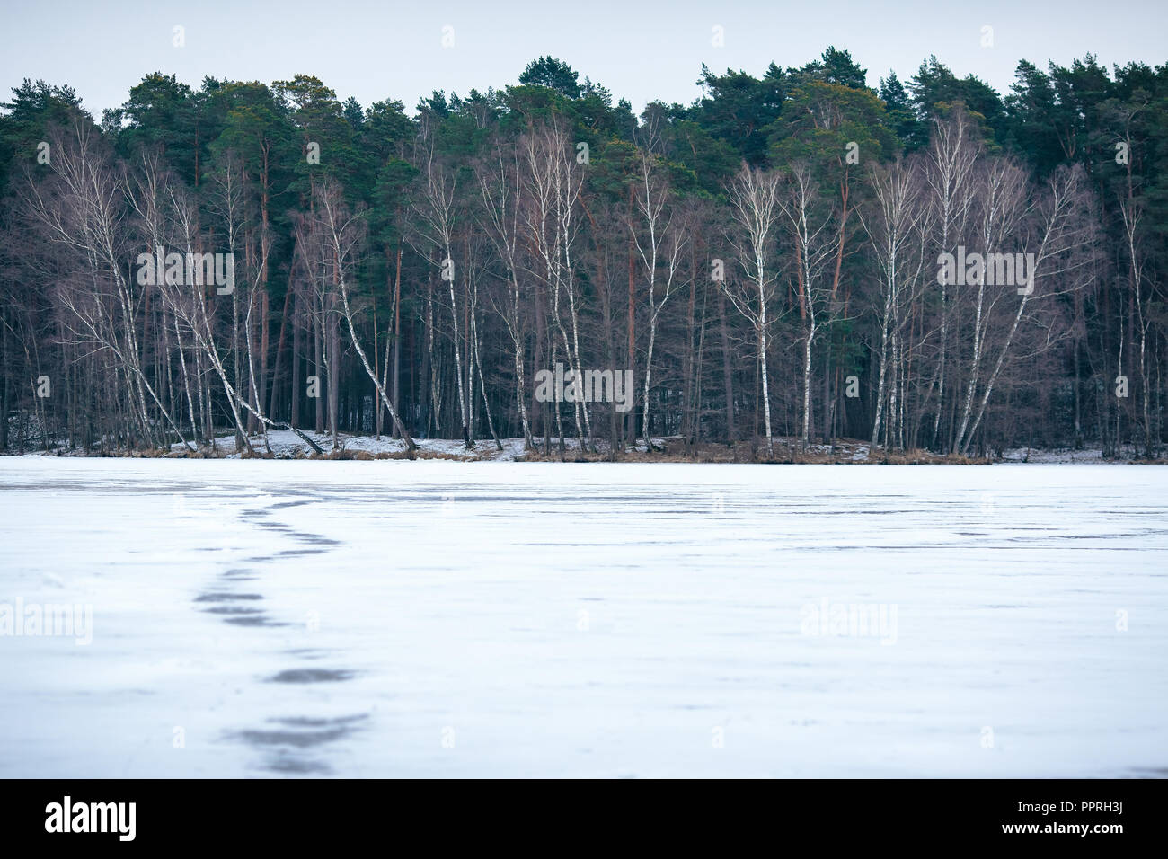 Vista exterior del lago congelado en invierno Foto de stock