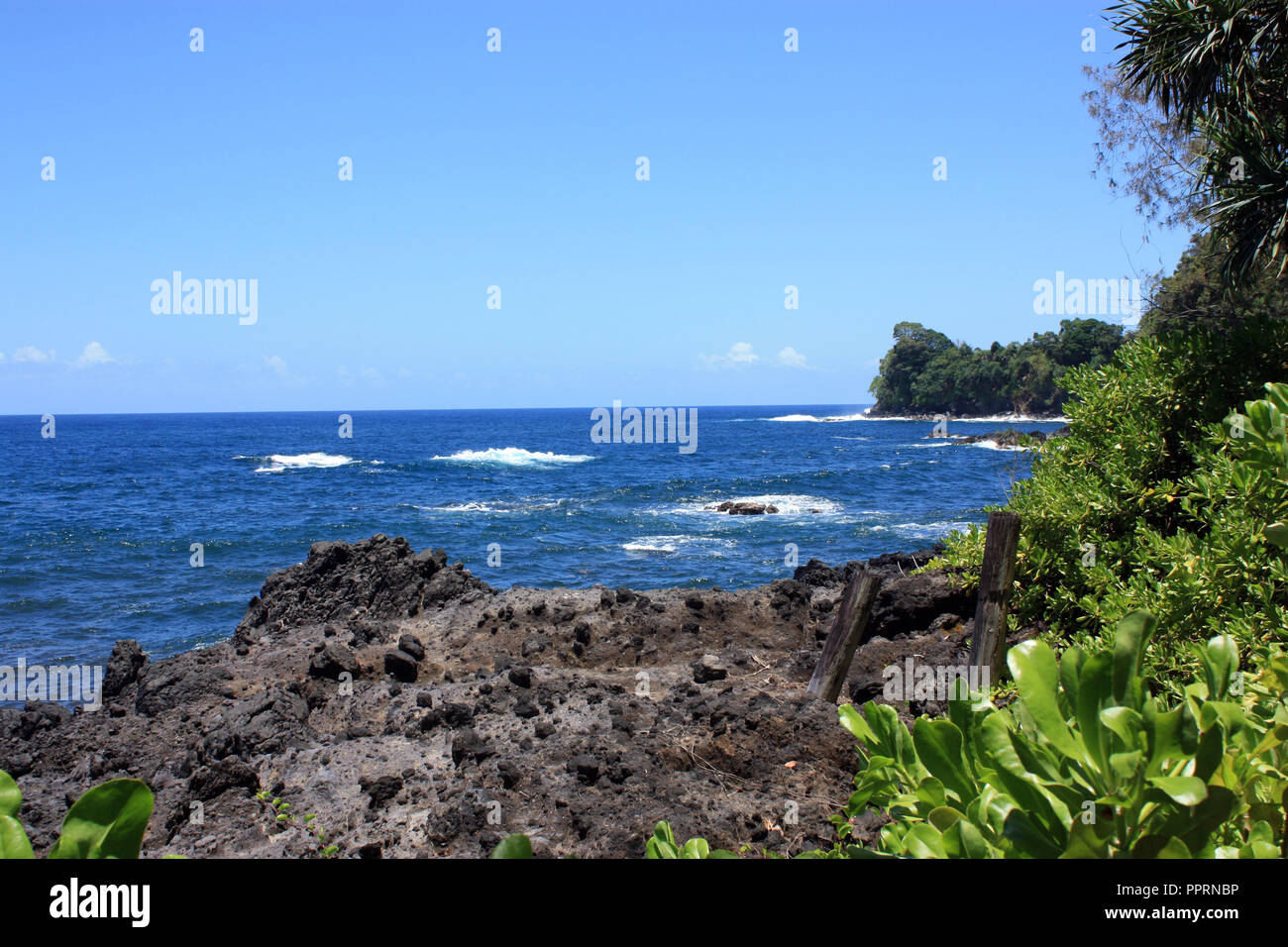 Vibrante, azul profundo océano pacífico de Bahía Onomea contrastando con costa volcánica negra y plantas de la selva verde en Hawaii, EE.UU. Foto de stock