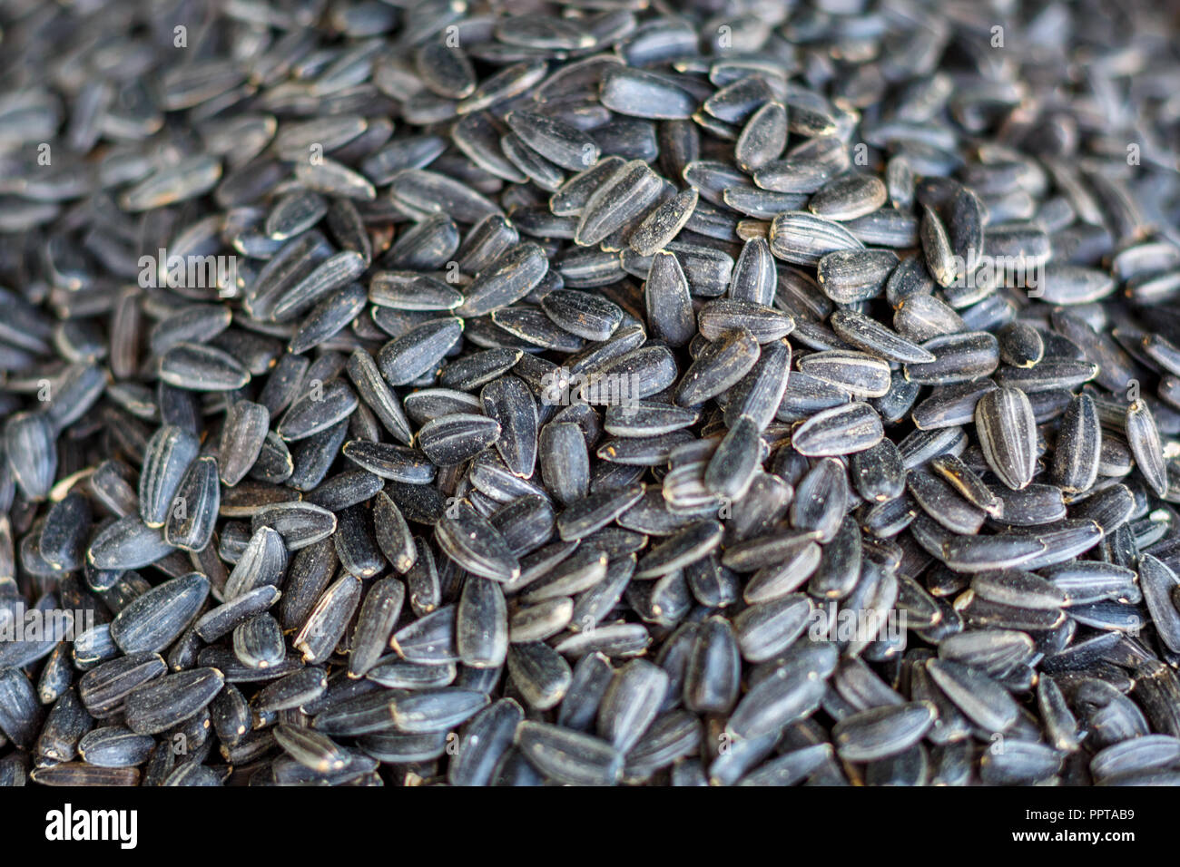 La textura de las semillas de girasol, aceite de girasol Fotografía de  stock - Alamy