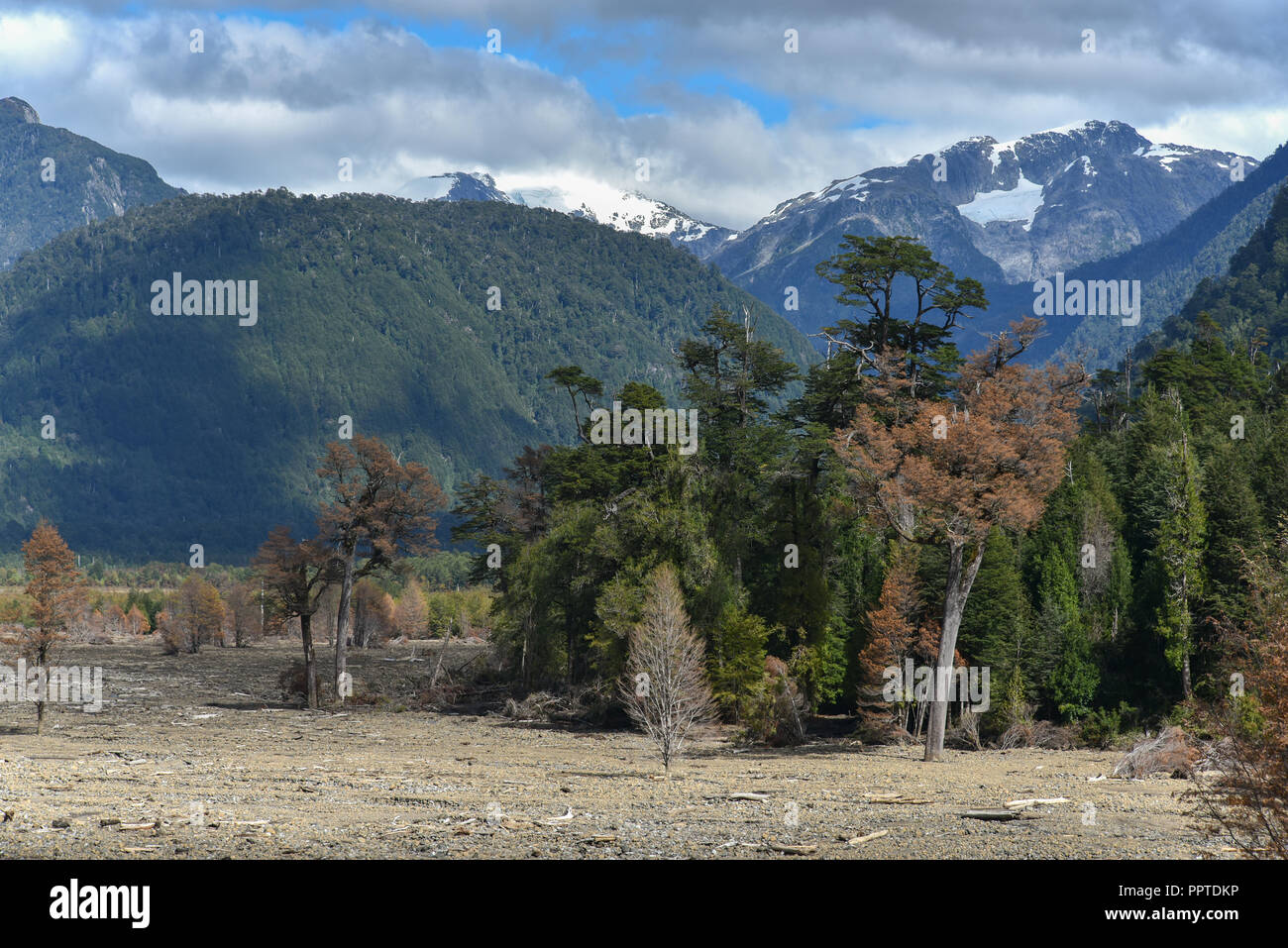 Forestal destruida por un alud en Villa Santa Lucía, en Chaitén, Río Burritos, Carretera Austral, Patagonia, Chile Foto de stock