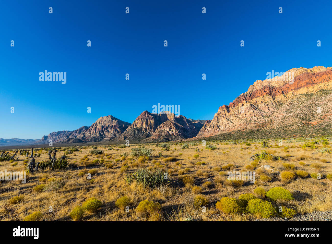 El Red Rock Canyon justo al oeste de Las Vegas, Nevada, EE.UU. Foto de stock