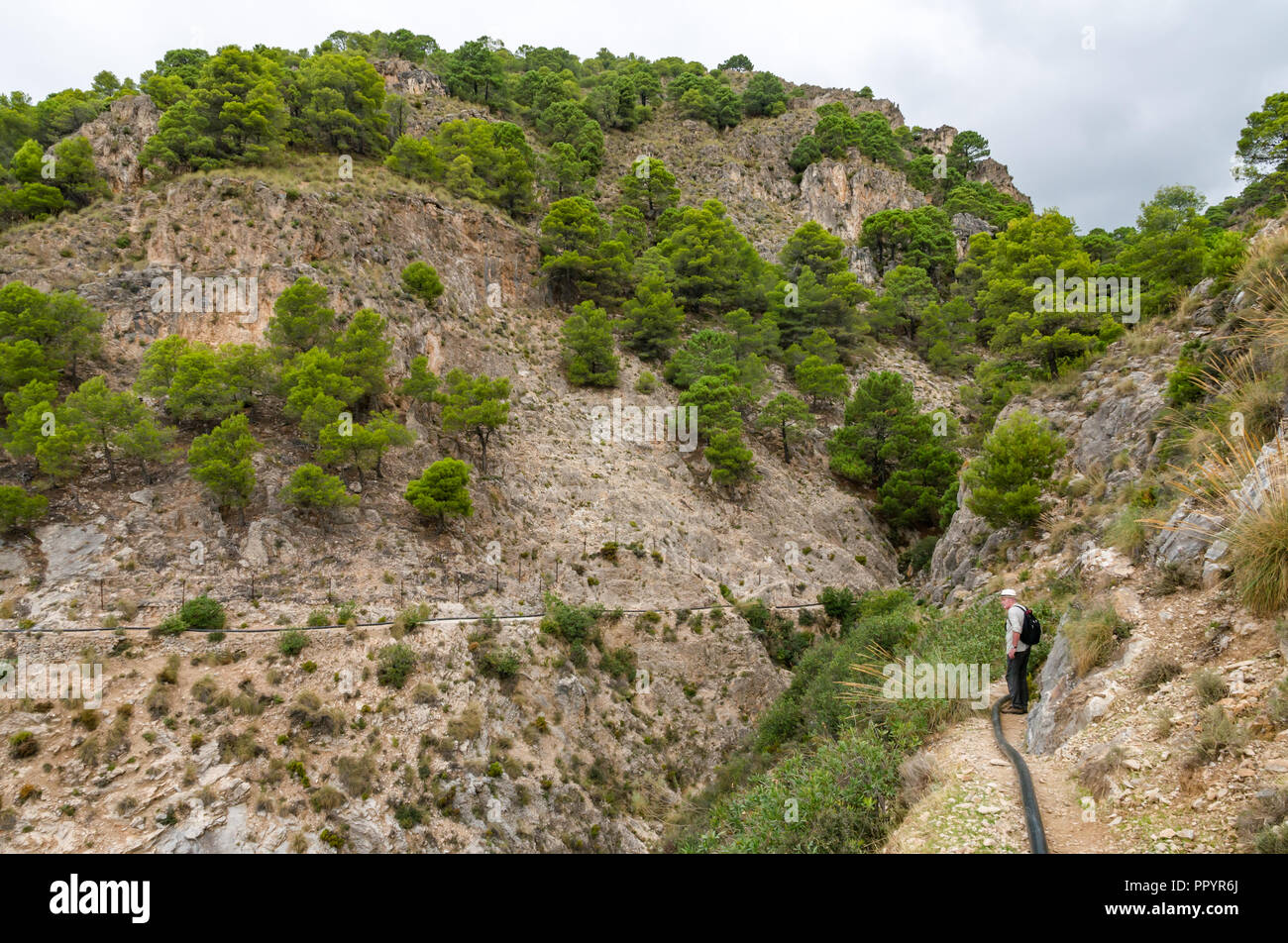 Hombre caminando en la montaña gorge ruta, Parque Natural Sierras de Tejeda, Axarquía, Málaga, Andalucía Foto de stock