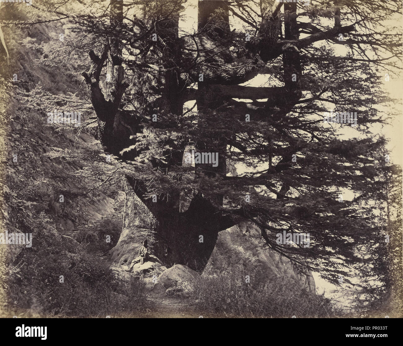 air india carry on bolsagage weight