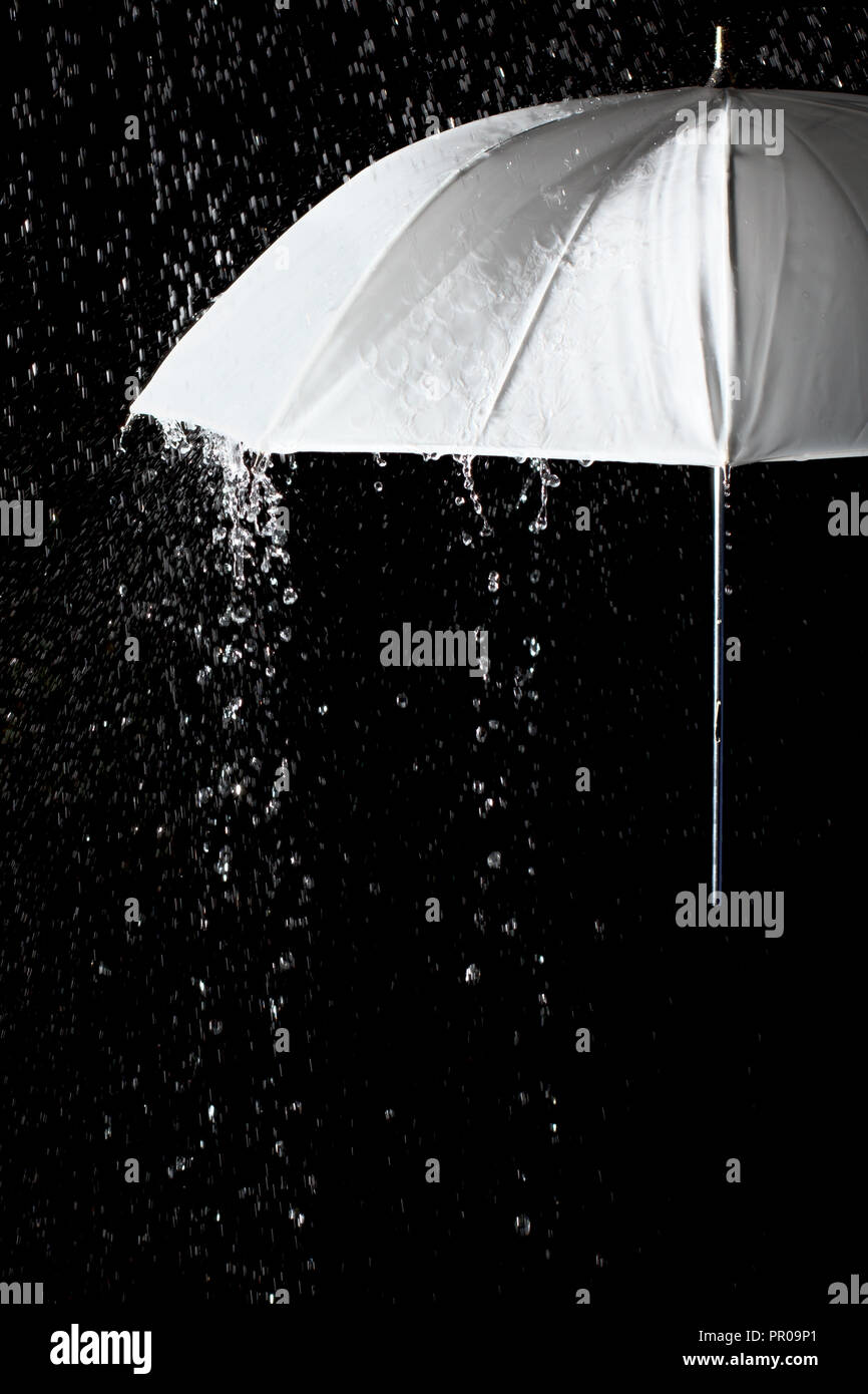Paraguas blanco bajo la lluvia con fondo negro. Concepto de negocios y de  la moda Fotografía de stock - Alamy