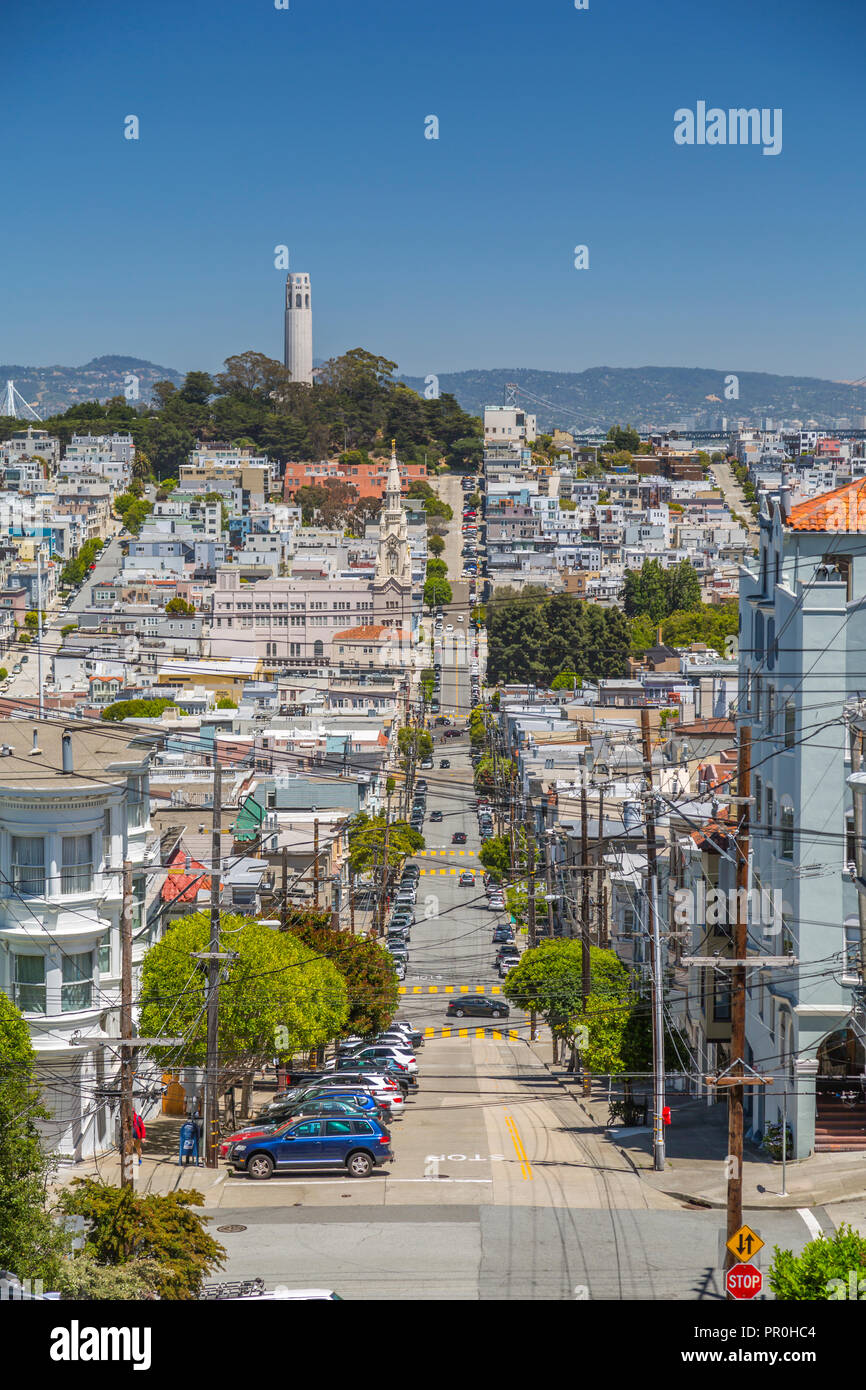 Vista de la torre Coit del ruso Hill, San Francisco, California, Estados Unidos de América, América del Norte Foto de stock