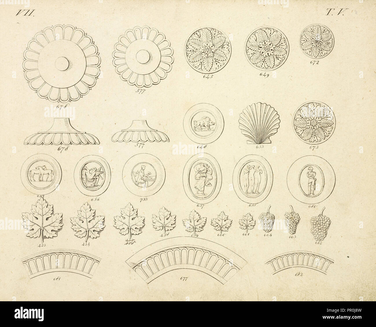 Shell y ornamentos florales, Abbildungen von geprägten Ornamenten: Heft I-XII, Bruckmann, Peter, grabado, entre 1815 y 1820 Foto de stock