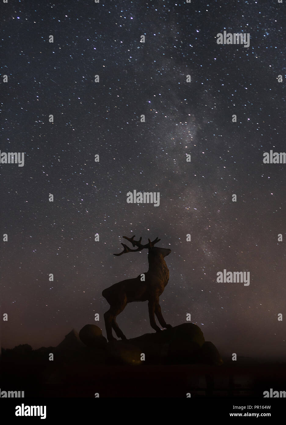 Mirar las estrellas, New Forest, Hampshire, Inglaterra, Reino Unido, Europa Foto de stock