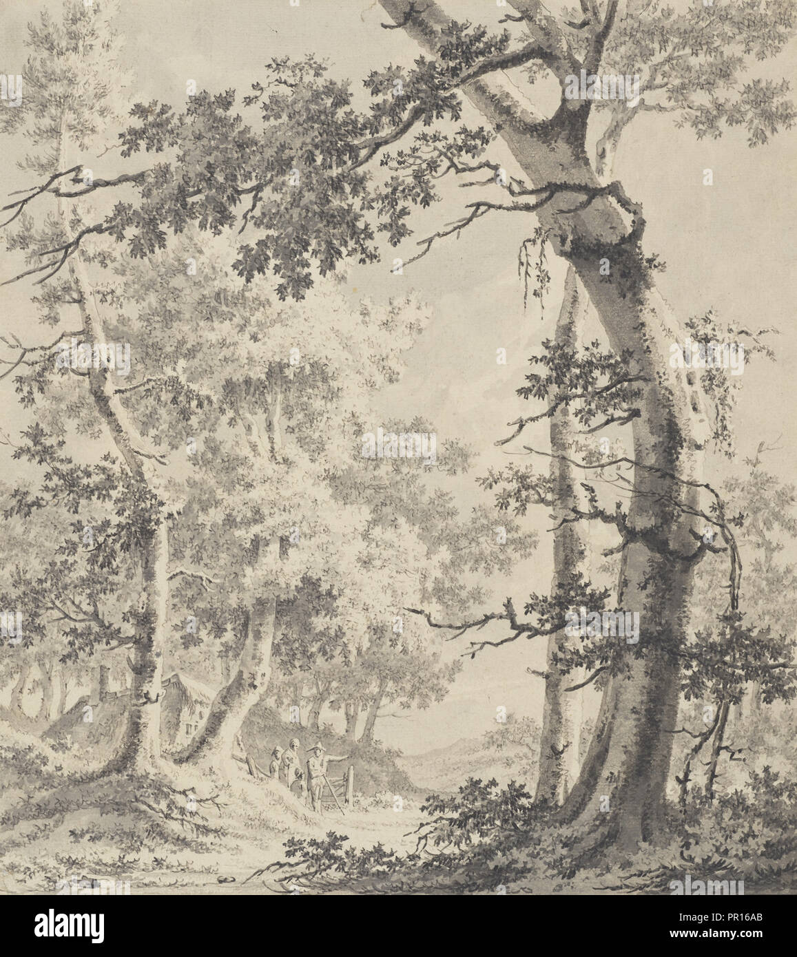 Paisaje Boscoso Paulus Van Liender Holandes 1731 1797 Aproximadamente 1780 1790 Lapiz Y Tinta Gris Y Negro Lavan Sobre Chalk Fotografia De Stock Alamy