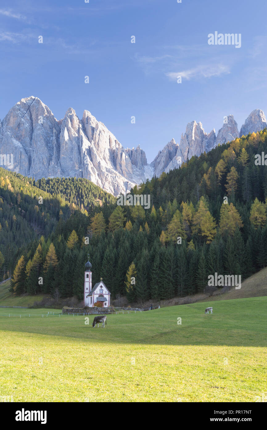 St. Johann, Ranui, Val di Funes, los Dolomitas, Tirol del Sur, Italia, Europa Foto de stock