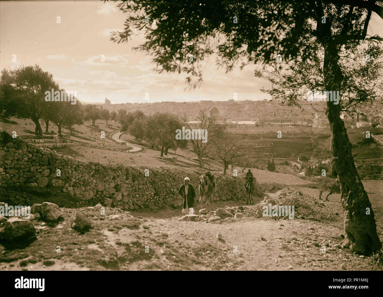 Jerusalén de laderas de Olivet, camello subiendo la colina 1934, Israel Foto de stock