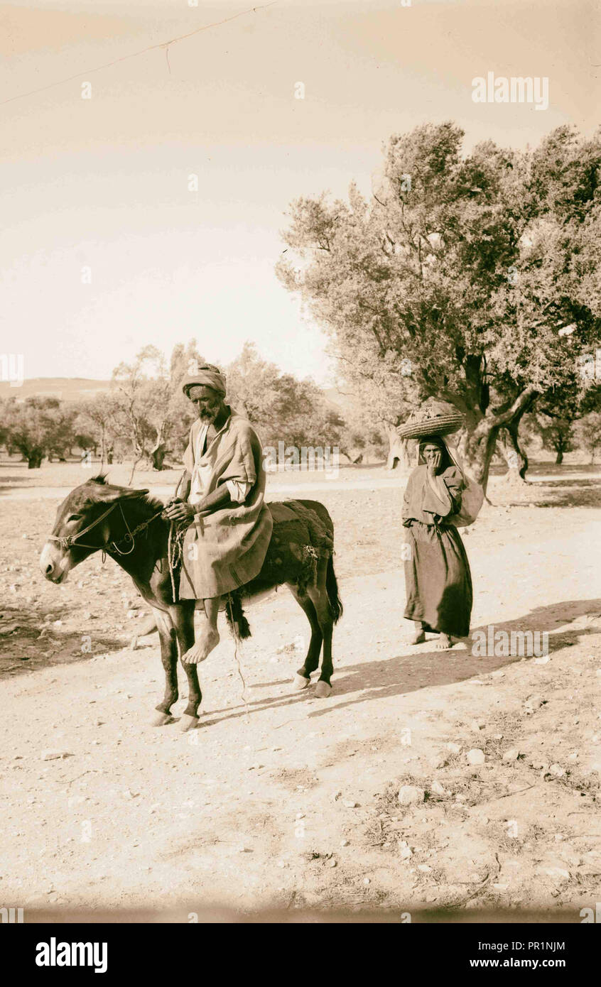 Hombre árabe en burro, seguida por una mujer con el canasto sobre su cabeza. 1898 Foto de stock